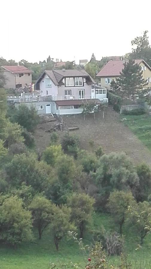 Panorama Apartman Molvice Eksteriør bilde