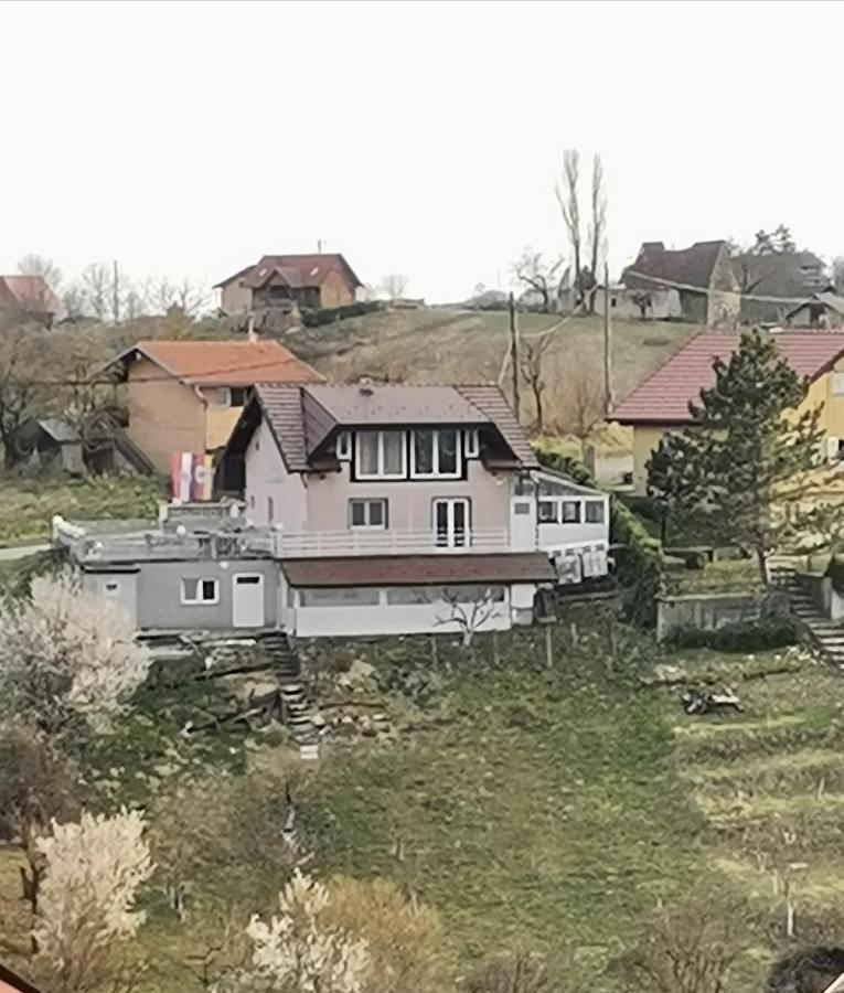 Panorama Apartman Molvice Eksteriør bilde